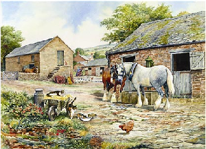 FARMYARD COMPANIONS