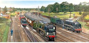 New Forest Junction