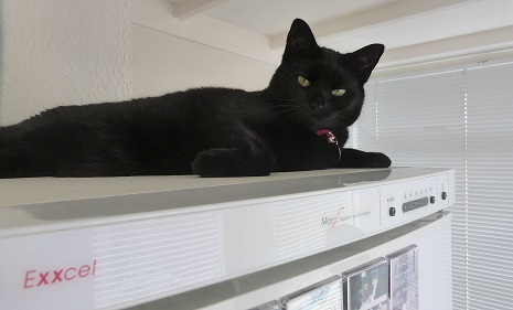 Storm on the fridge 2.