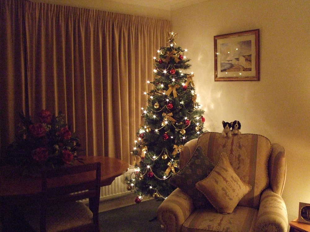 One of Viv's Christmas trees.