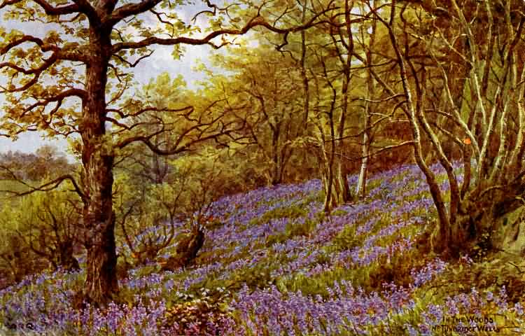 Tunbridge Wells Woods 1915